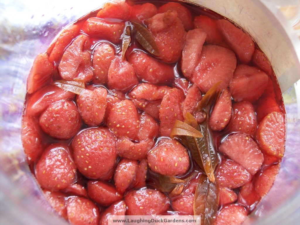 strawberry-liqueur-in-process