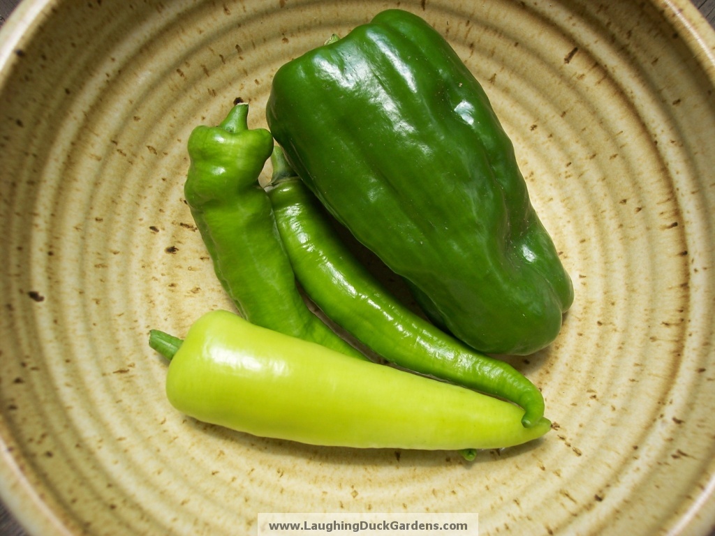peppers-2009-06-249