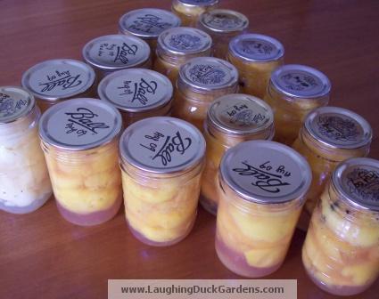 peaches-canning-002