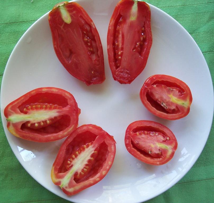 tomato-canning-sept-09