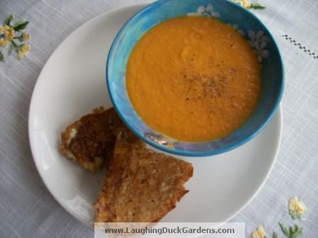 soup-carrots-fennel-003