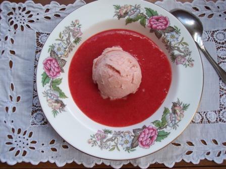 frozen-yogurt-honey-rhubarb-001
