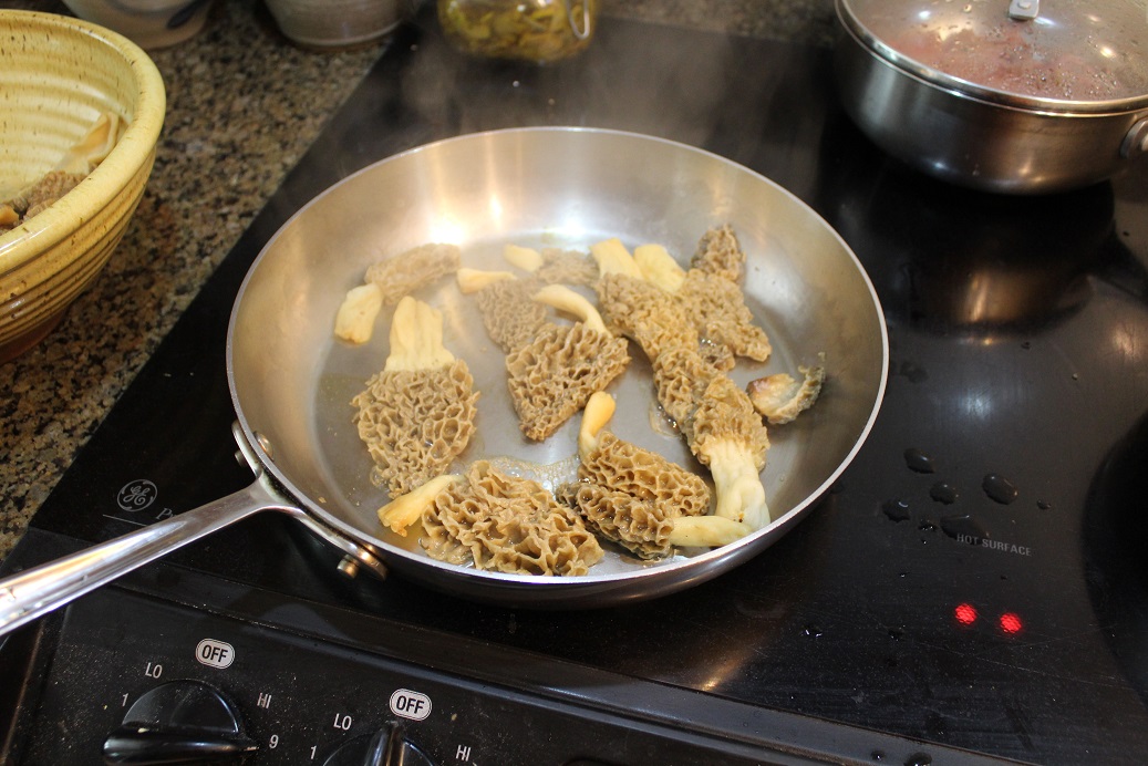 A Way To Prepare Morels Laughing Duck Gardens & Cookery