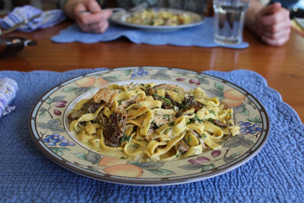 A Way To Prepare Morels Laughing Duck Gardens & Cookery